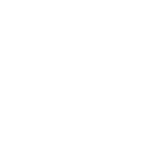 Baggage Loss, Damage & Delay
